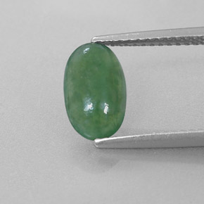 Jadéite vert naturelle coupe ovale, 1,56 ct, translucide