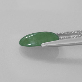 Jadéite vert naturelle coupe ovale, 1,56 ct, translucide