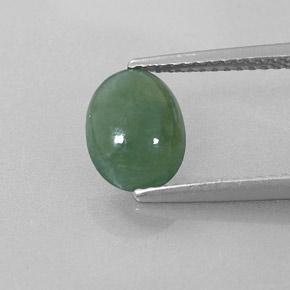 Jadéite Vert naturelle Coupe ovale, 1.51 ct, Translucide