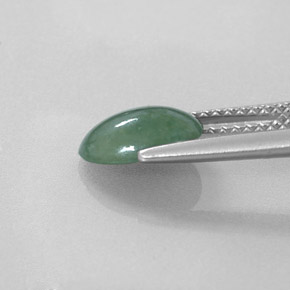 Jadéite Vert naturelle Coupe ovale, 1.51 ct, Translucide