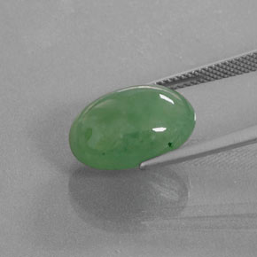 Jadéite Vert naturelle Coupe ovale, 9.39 ct, Translucide
