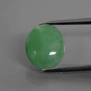 Jadéite vert naturelle coupe ovale, 6,55 ct, translucide