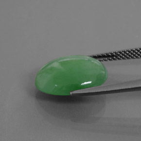 Jadéite vert naturelle coupe ovale, 6,55 ct, translucide