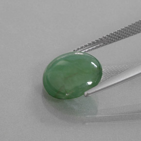 Jadéite vert naturelle coupe roude, 5,27 ct, transparent
