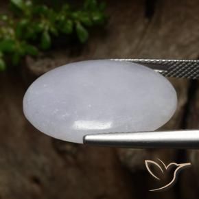 Jadéite Gris naturelle ovale, 16.67 ct, Translucide