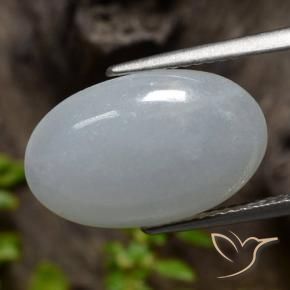 Jadéite Gris moyen naturelle ovale, 7.94 ct, Opaque