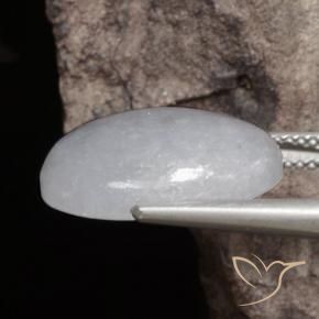 Jadéite Gris moyen naturelle ovale, 11.71 ct, Translucide