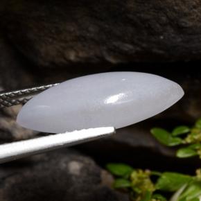 Jadéite gris naturelle marquise, 5,21 ct, translucide