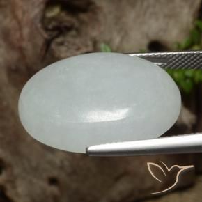 Jadéite Gris moyen naturelle ovale, 24.90 ct, Translucide