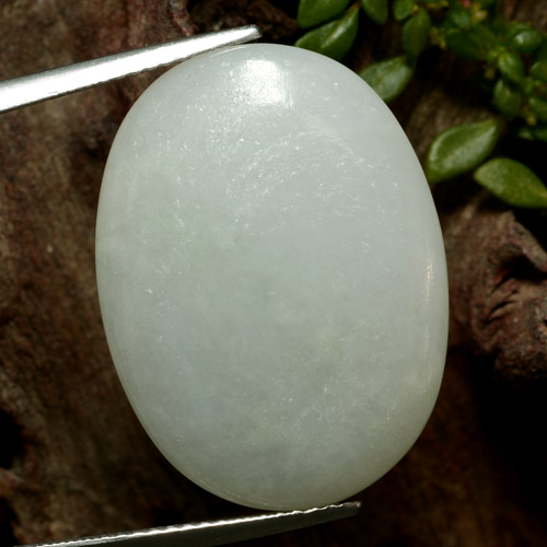 Jadéite vert naturelle coupe ovale, 24,22 ct, translucide