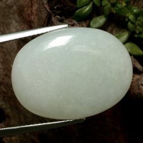 Jadéite vert naturelle coupe ovale, 24,22 ct, translucide