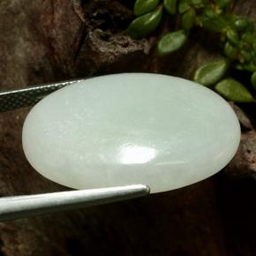 Jadéite vert naturelle coupe ovale, 24,22 ct, translucide
