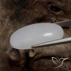 Jadéite Gris moyen naturelle ovale, 16.11 ct, Translucide