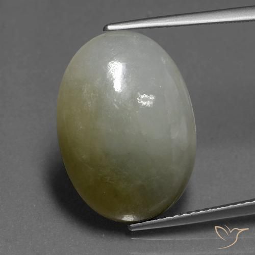 Jadéite Vert moyen naturelle Coupe ovale, 13.85 ct, Translucide