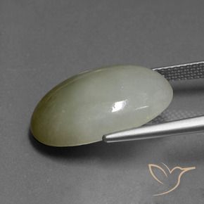 Jadéite Vert moyen naturelle Coupe ovale, 13.85 ct, Translucide