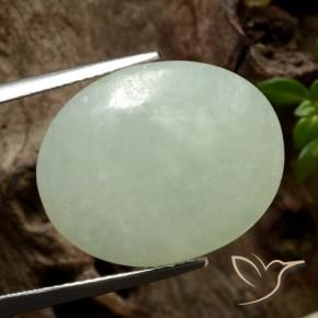 Jadéite Olive verte naturelle ovale, 13.03 ct, Translucide