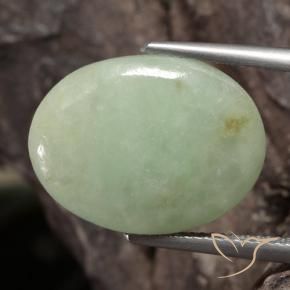 Jadéite Gris vert naturelle ovale, 12.72 ct, Translucide