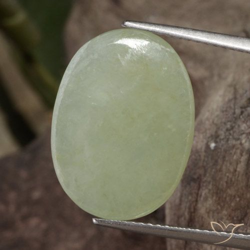 11.65ct Naturel Vert moyen Jadéite, ovale, Translucide
