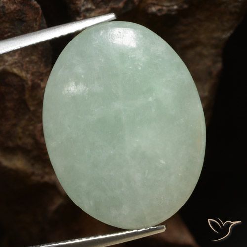 Jadéite vert naturelle coupe ovale, 16,53 ct, translucide