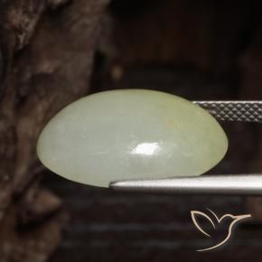 Jadéite Jaune-vert grisâtre naturelle ovale, 14.11 ct, Translucide