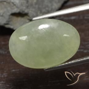 Jadéite Olive verte naturelle Coupe ovale, 8.37 ct, Translucide