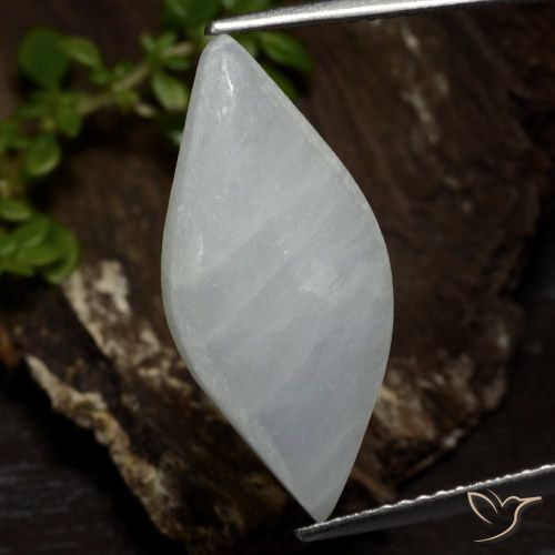 6.74ct Naturel Blanc grisâtre Jadéite, Marquise, Translucide