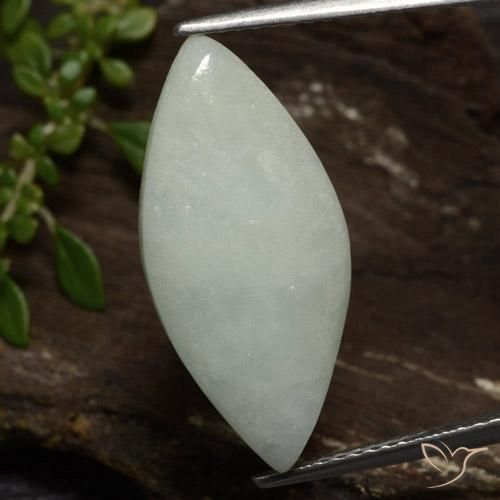 8.14ct Naturel Vert moyen Jadéite, Marquise, Translucide