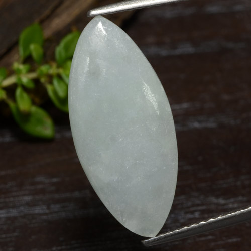 Jadéite vert naturelle marquise, 5,79 ct, translucide