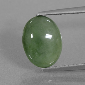 Jadéite Vert naturelle Coupe ovale, 3.17 ct, Translucide