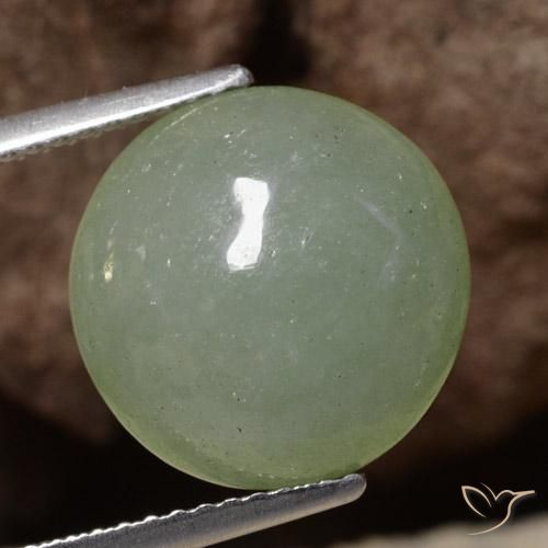 7.56ct Naturel Vert mousse grisâtre Jadéite, Tour, Translucide