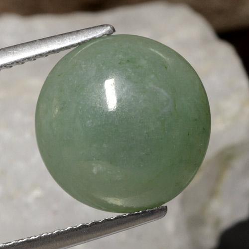 Jadéite Vert moyen naturelle Coupe roude, 6.93 ct, Translucide