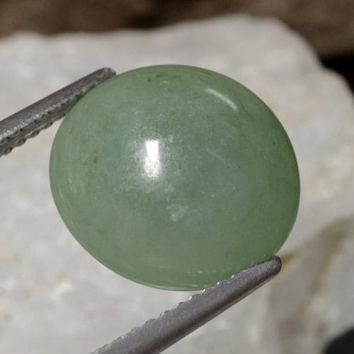 Jadéite Vert moyen naturelle Coupe roude, 6.93 ct, Translucide
