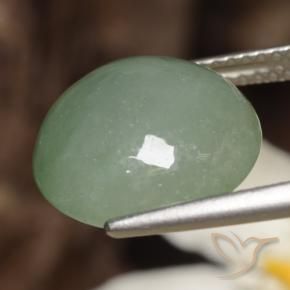 Jadéite Vert clair naturelle Tour, 7.82 ct, Translucide