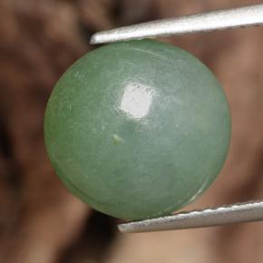 Jadéite vert naturelle coupe roude, 6,35 ct, translucide