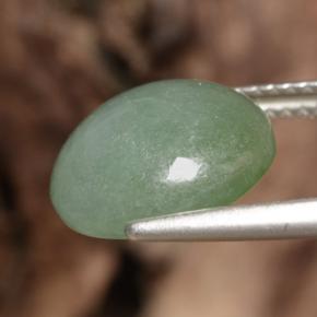 Jadéite vert naturelle coupe roude, 6,35 ct, translucide