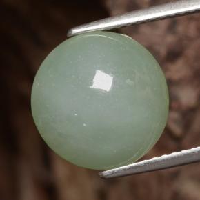 Jadéite vert naturelle coupe roude, 6,81 ct, translucide