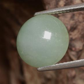 Jadéite vert naturelle coupe roude, 6,81 ct, translucide