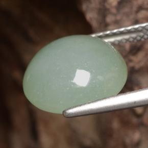 Jadéite vert naturelle coupe roude, 6,81 ct, translucide