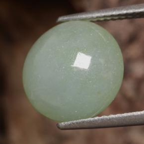 Jadéite vert naturelle coupe roude, 6,29 ct, translucide