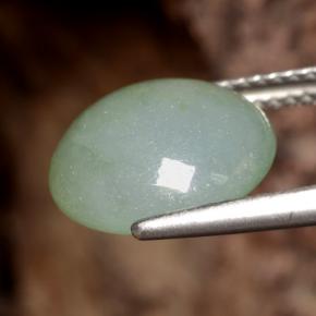 Jadéite vert naturelle coupe roude, 6,29 ct, translucide