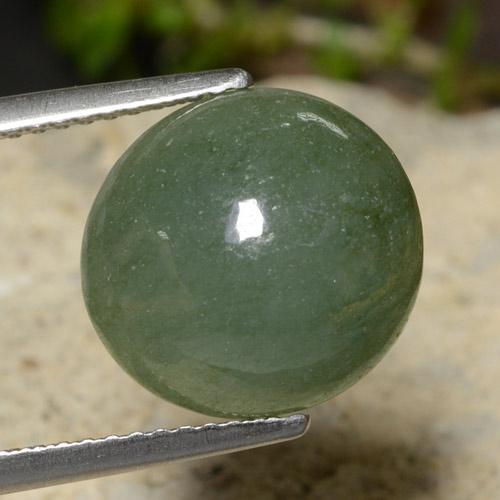 Jadéite Vert pin pâle naturelle Coupe roude, 7.03 ct, Translucide