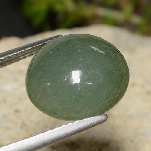 Jadéite Vert pin pâle naturelle Coupe roude, 7.03 ct, Translucide
