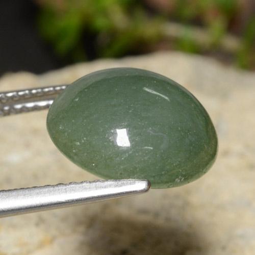 Jadéite Vert pin pâle naturelle Coupe roude, 7.03 ct, Translucide