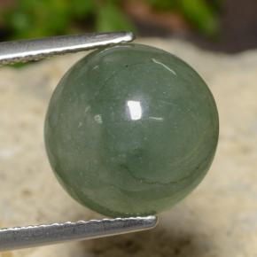 Jadéite Vert pin pâle naturelle Coupe roude, 7.20 ct, Translucide