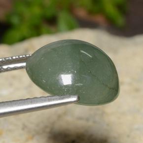 Jadéite Vert pin pâle naturelle Coupe roude, 7.20 ct, Translucide