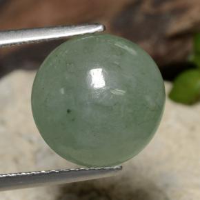 Jadéite Medium Light Green naturelle Coupe roude, 6.92 ct, Translucide