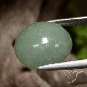 Jadéite Vert moyen naturelle Tour, 8.13 ct, Translucide