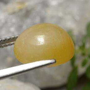 Jadéite Jaune doré naturelle Coupe ovale, 7.08 ct, Translucide