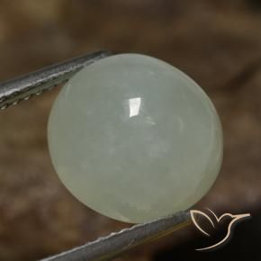 Jadéite Gris vert naturelle ovale, 7.41 ct, Translucide