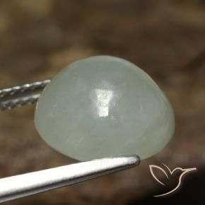 Jadéite Gris vert naturelle ovale, 7.41 ct, Translucide